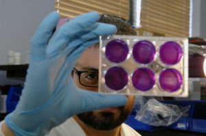 Ryan Tassone, research associate, checks the efficacy of a vacine on a group of cell cultures.
