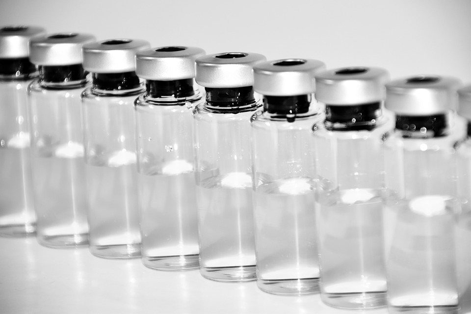 Immuno-informatics: Mining the genome for Vaccine Components