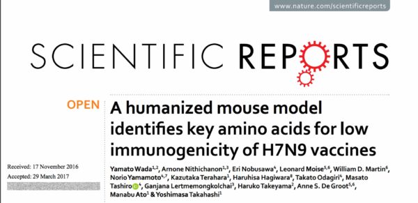 Optimized H7N9 induces higher Ab in humanized, but not standard, mice