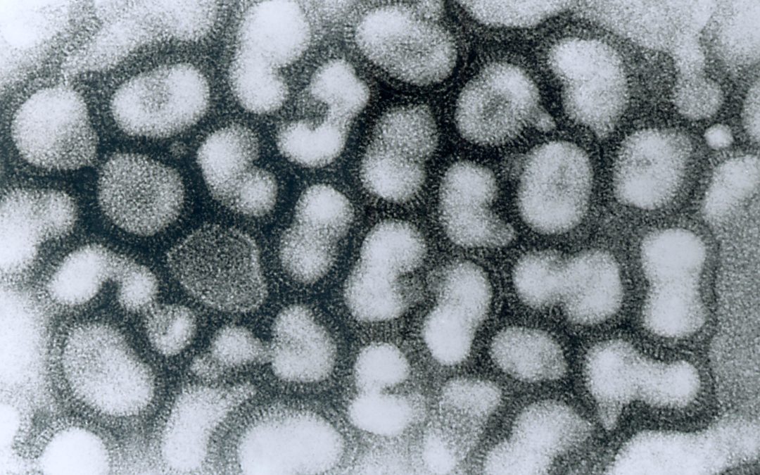 Low immunogenicity predicted for emerging avian-origin H7N9: Implication for influenza vaccine design