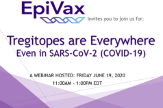 Webinar: Tregitopes are Everywhere - Even in SARS-CoV-2 (COVID-19)