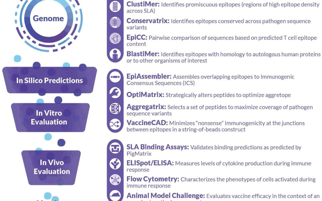 New Immunoinformatics Tools for Swine: Designing Epitope-Driven Vaccines, Predicting Vaccine Efficacy, and Making Vaccines on Demand