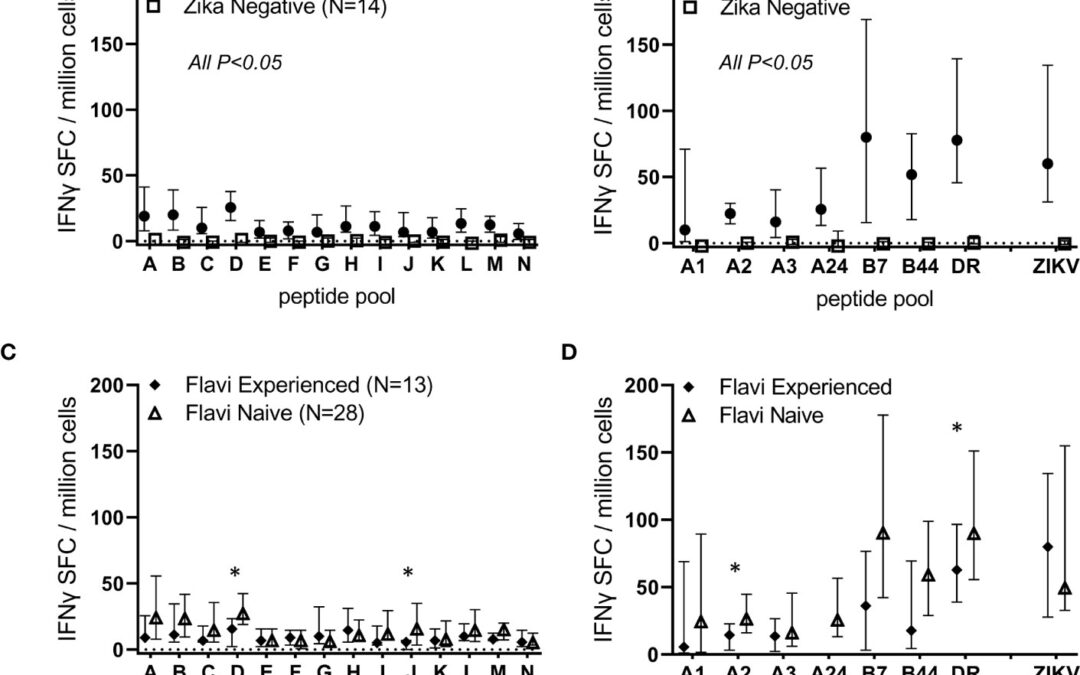Identification of immunodominant T cell epitopes induced by natural Zika virus infection