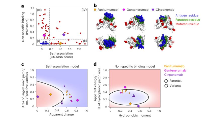 Optimization of therapeutic antibodies for reduced slef-association and non-specific binding via interpretable machine learning