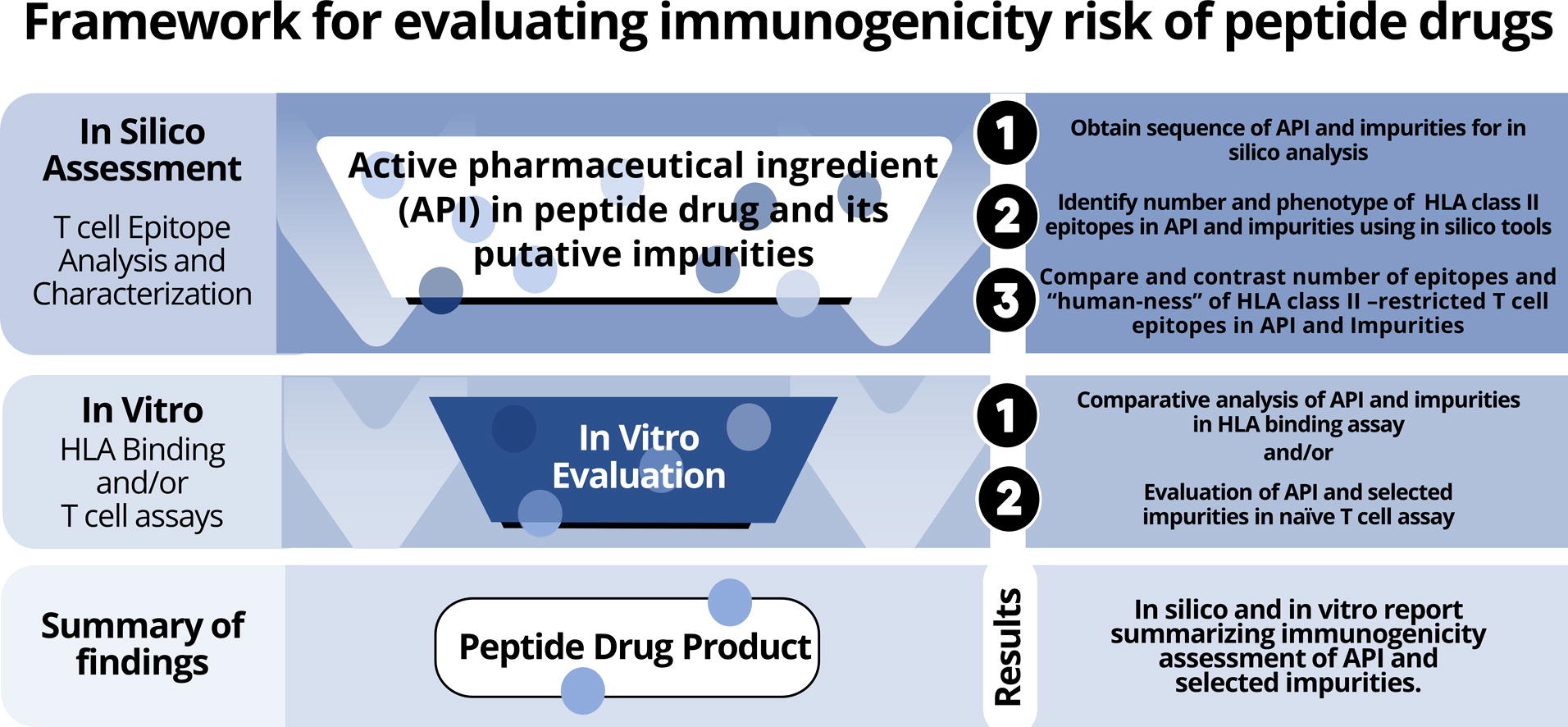 The framework for evaluating the immunogenicity risk of peptide drugs. 