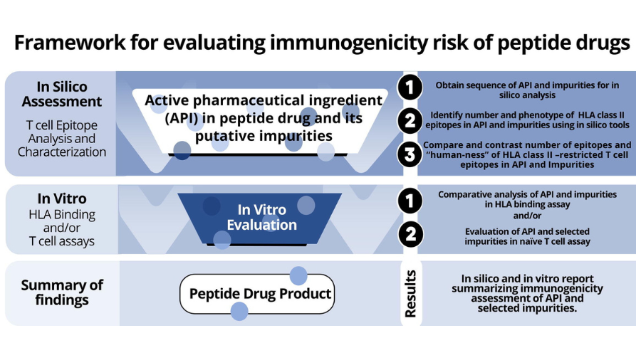 In Silico Immunogenicity Assessment of Therapeutic Peptides