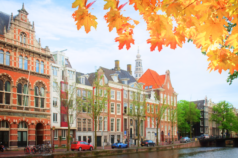 Amsterdam Immunogenicity and Tolerance Seminar- 2024