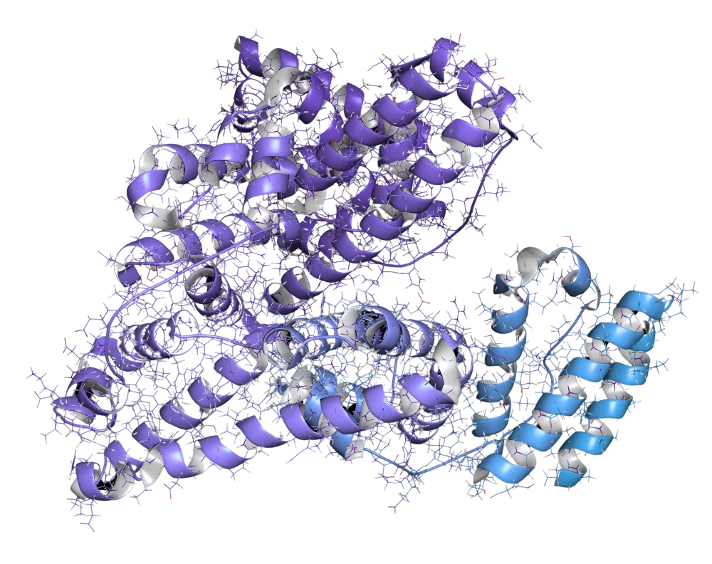 ISPRI HCP Host cell protein