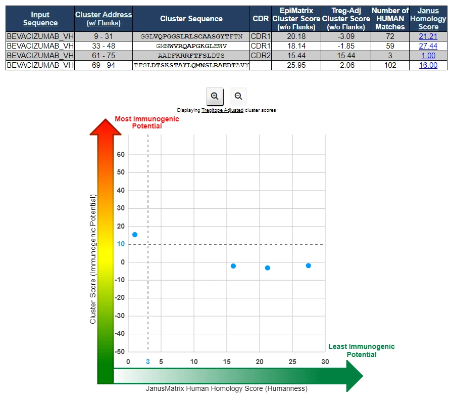 Cluster scores and human homology scores of four cluster sequences, displaying immunogenic potential and humanness of sequences