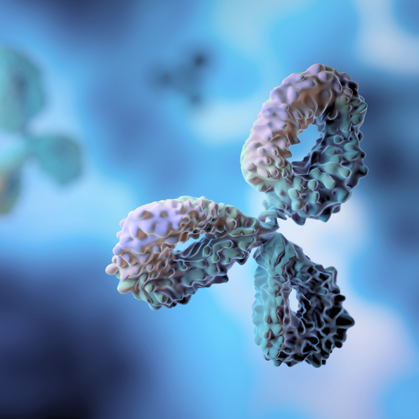 ISPRI Evaluate ISPRI Evaluate antibody