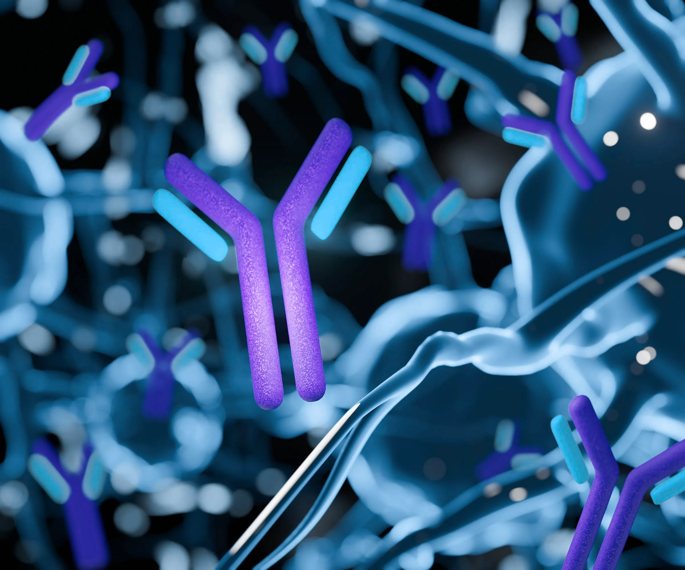 A model of an antibody 