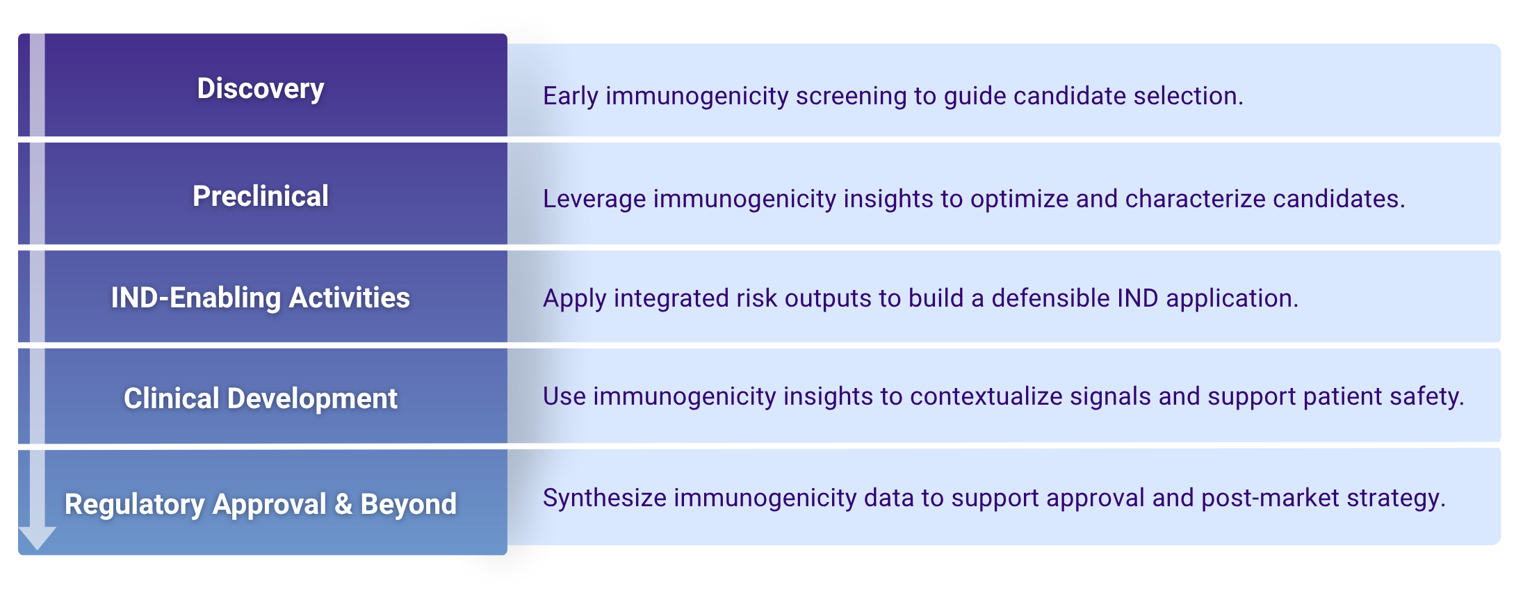 Applications of immunogenicity data for each phase of biologic development