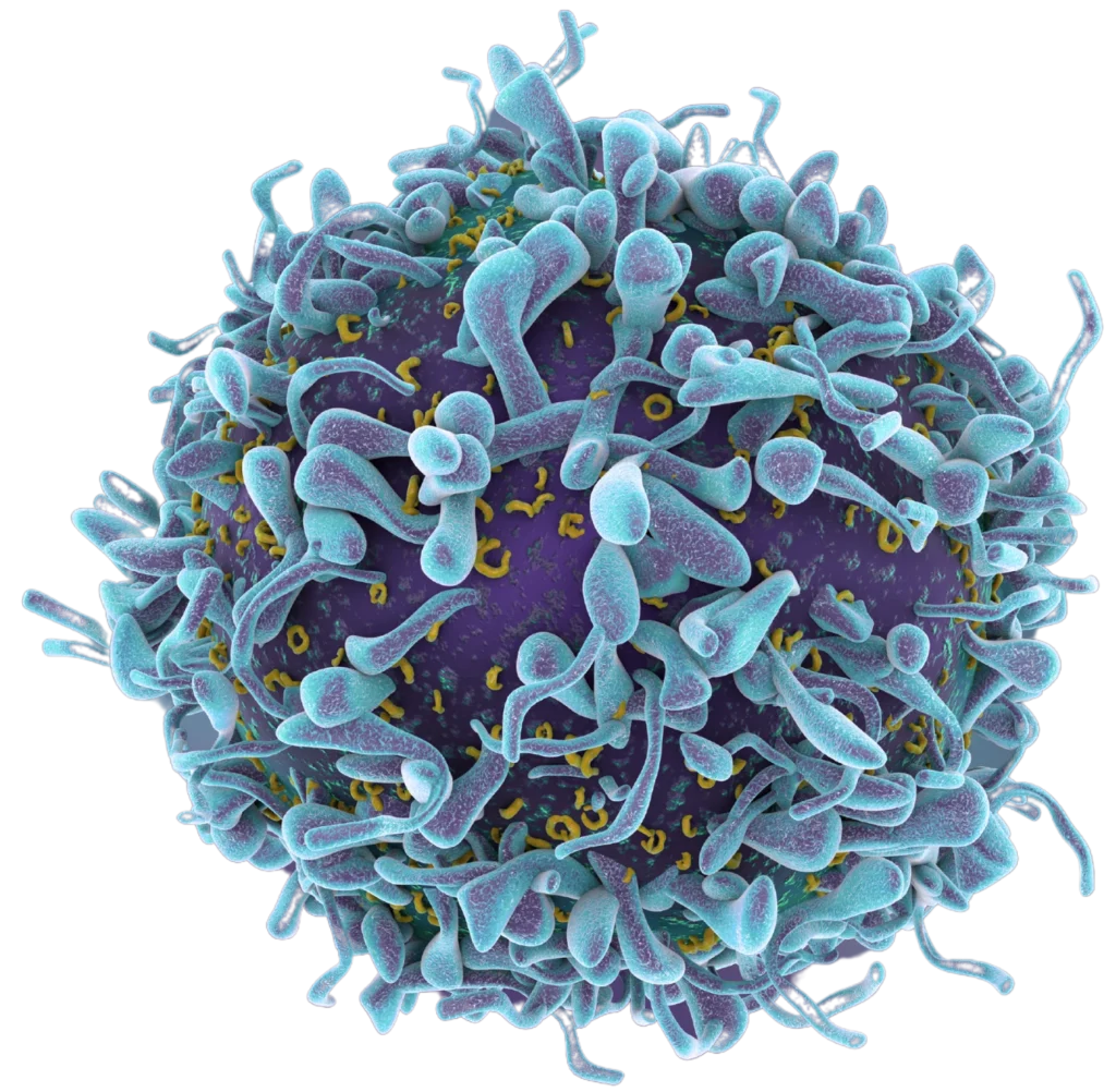 Ancer - personalized cancer vaccine design platform