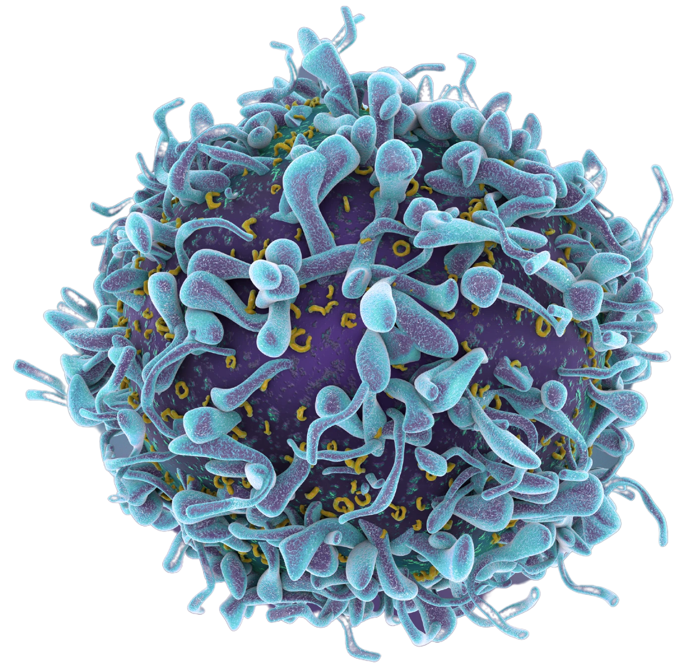 Personalized cancer vaccine design platform