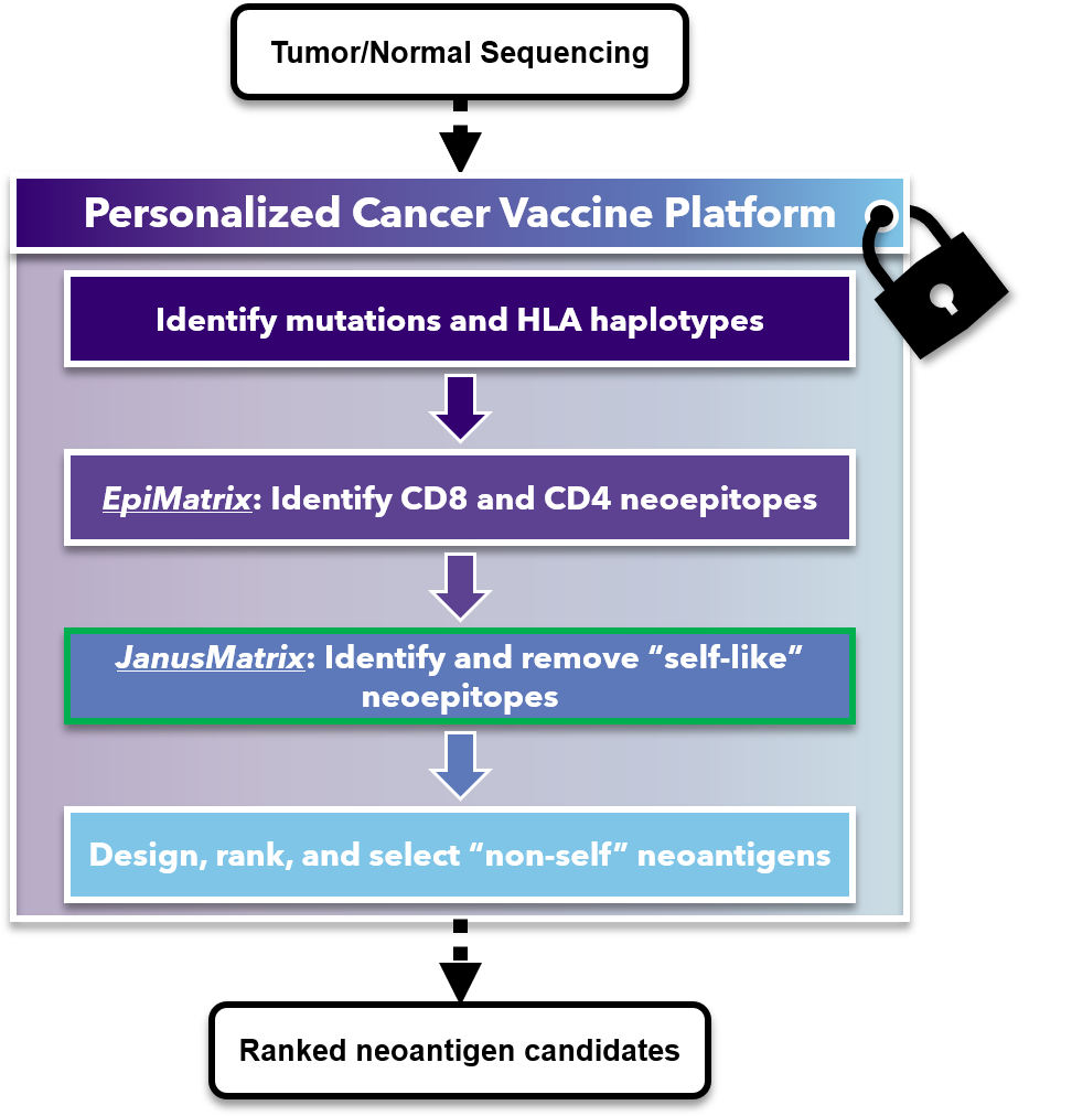 Personalized Cancer Vaccine Platform